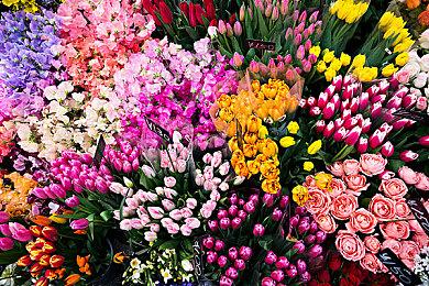 云顶之弈S8.5装备合成表，云顶之弈S8.5装备合成图鉴最新