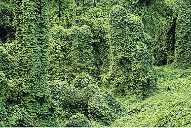 融合卡牌构建和潜行游戏新作《女巫戏法》公布